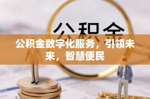 二林公积金数字化服务，引领未来，智慧便民