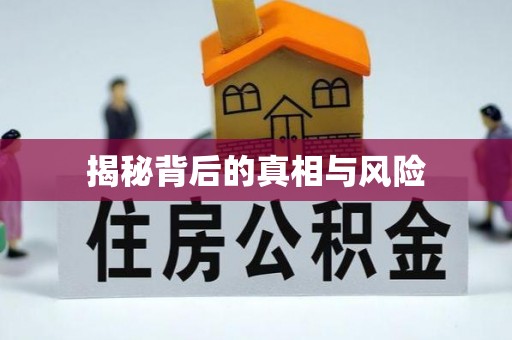 二林揭秘背后的真相与风险
