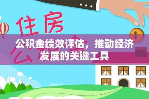 二林公积金绩效评估，推动经济发展的关键工具