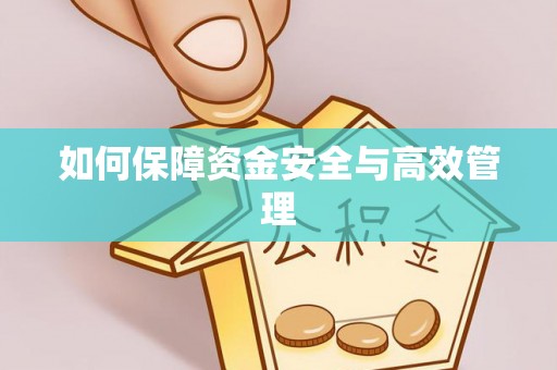 二林如何保障资金安全与高效管理