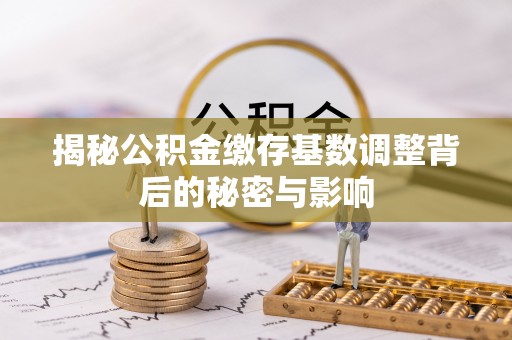 二林揭秘公积金缴存基数调整背后的秘密与影响