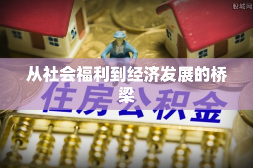 二林从社会福利到经济发展的桥梁