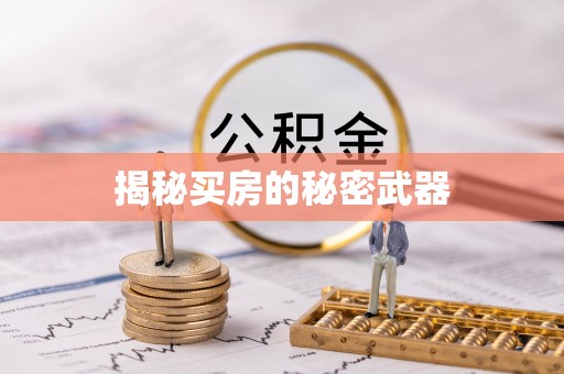二林揭秘买房的秘密武器