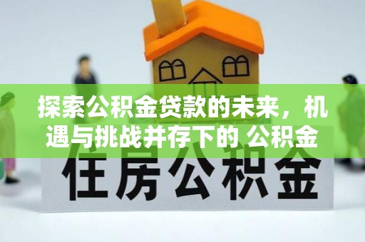 二林探索公积金贷款的未来，机遇与挑战并存下的 公积金贷款风险防控