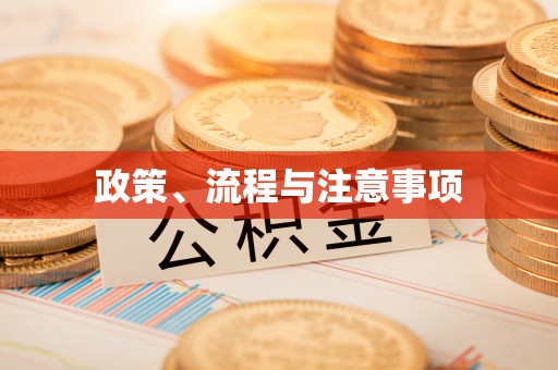 二林政策、流程与注意事项