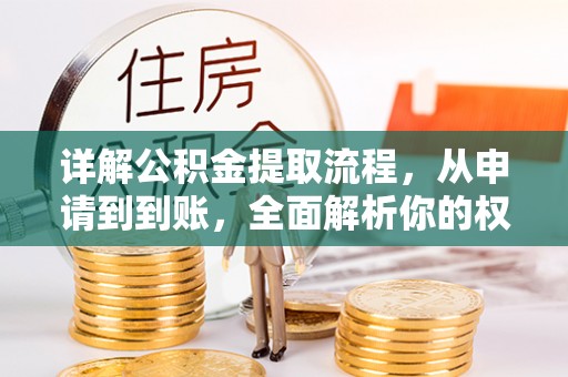二林详解公积金提取流程，从申请到到账，全面解析你的权益与操作步骤