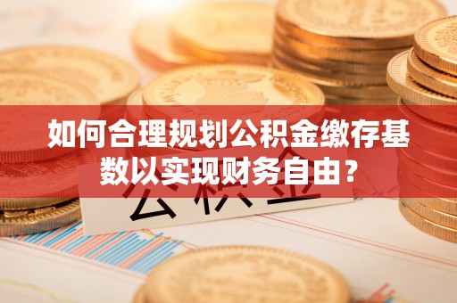 二林如何合理规划公积金缴存基数以实现财务自由？