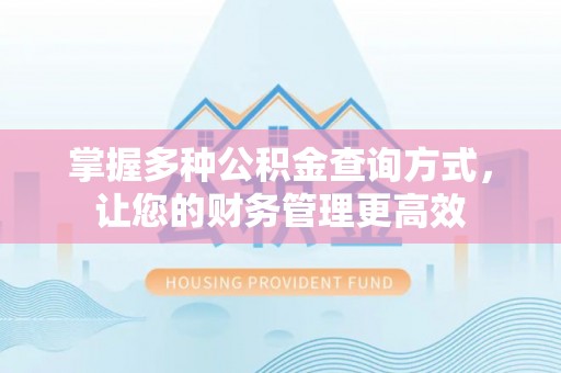二林掌握多种公积金查询方式，让您的财务管理更高效