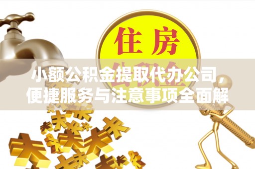 二林小额公积金提取代办公司，便捷服务与注意事项全面解析