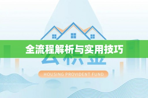 二林全流程解析与实用技巧