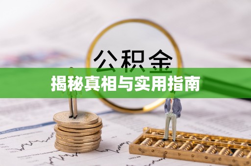 二林揭秘真相与实用指南