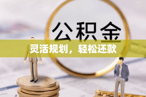二林灵活规划，轻松还款