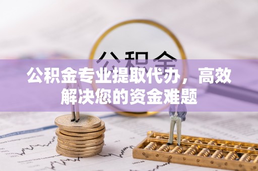 二林公积金专业提取代办，高效解决您的资金难题