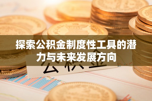 二林探索公积金制度性工具的潜力与未来发展方向