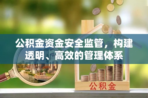 二林公积金资金安全监管，构建透明、高效的管理体系