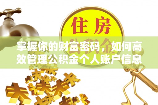 二林掌握你的财富密码，如何高效管理公积金个人账户信息