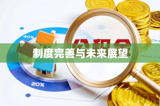 二林制度完善与未来展望