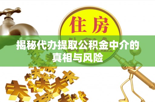 二林揭秘代办提取公积金中介的真相与风险