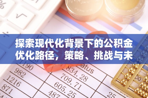 二林探索现代化背景下的公积金优化路径，策略、挑战与未来展望