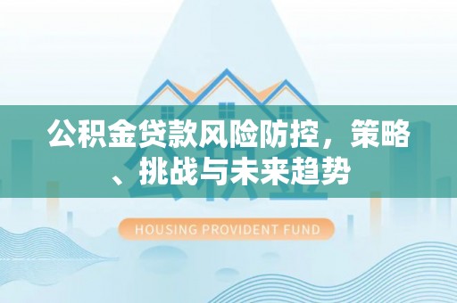 二林公积金贷款风险防控，策略、挑战与未来趋势