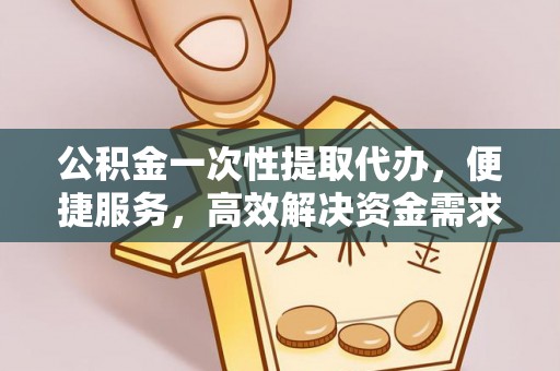二林公积金一次性提取代办，便捷服务，高效解决资金需求