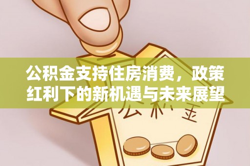 二林公积金支持住房消费，政策红利下的新机遇与未来展望