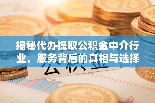二林揭秘代办提取公积金中介行业，服务背后的真相与选择指南