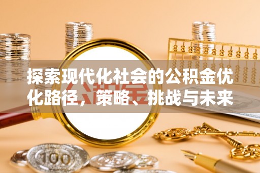 二林探索现代化社会的公积金优化路径，策略、挑战与未来展望