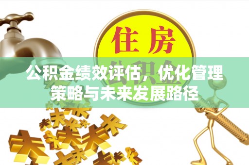 二林公积金绩效评估，优化管理策略与未来发展路径