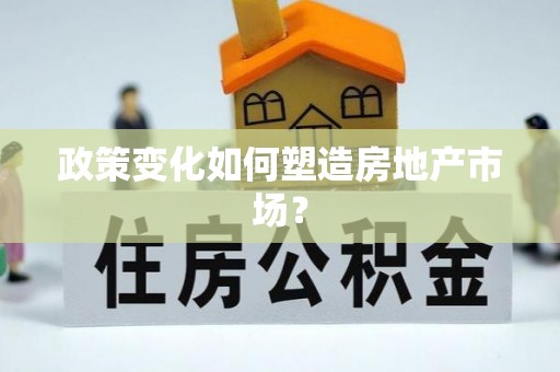 二林政策变化如何塑造房地产市场？