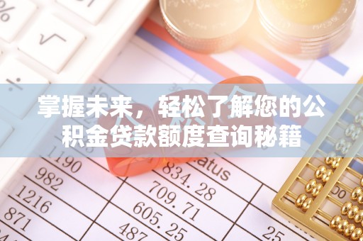 二林掌握未来，轻松了解您的公积金贷款额度查询秘籍