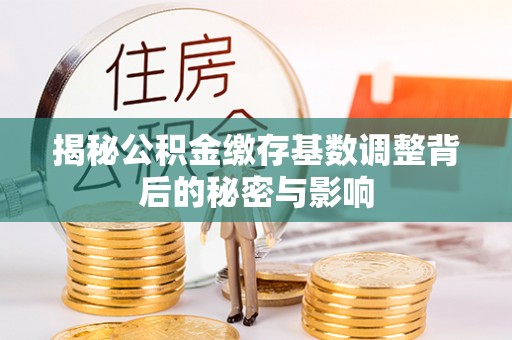 二林揭秘公积金缴存基数调整背后的秘密与影响