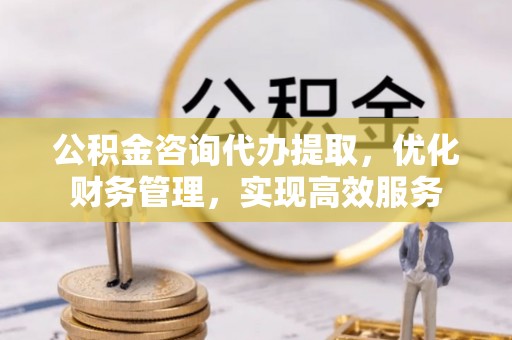 二林公积金咨询代办提取，优化财务管理，实现高效服务