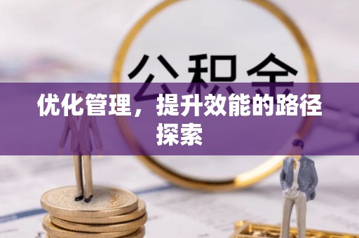 二林优化管理，提升效能的路径探索