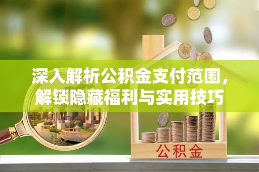 二林深入解析公积金支付范围，解锁隐藏福利与实用技巧