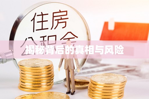二林揭秘背后的真相与风险