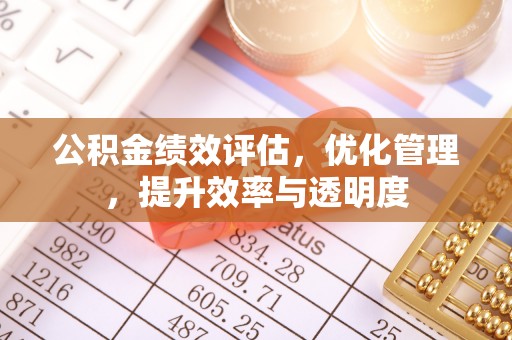 二林公积金绩效评估，优化管理，提升效率与透明度