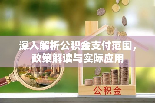 二林深入解析公积金支付范围，政策解读与实际应用