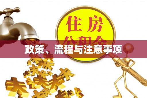 二林政策、流程与注意事项