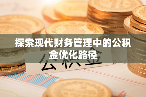 二林探索现代财务管理中的公积金优化路径