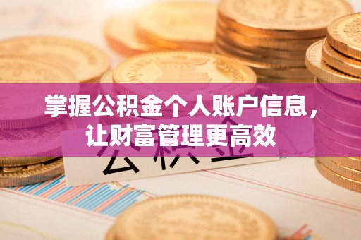 二林掌握公积金个人账户信息，让财富管理更高效