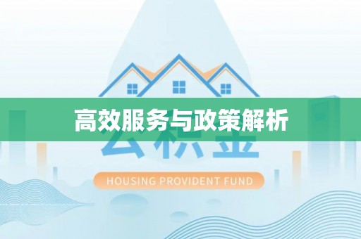 二林高效服务与政策解析