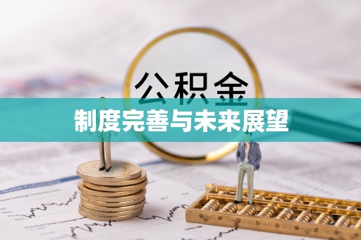 二林制度完善与未来展望