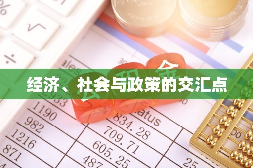 二林经济、社会与政策的交汇点