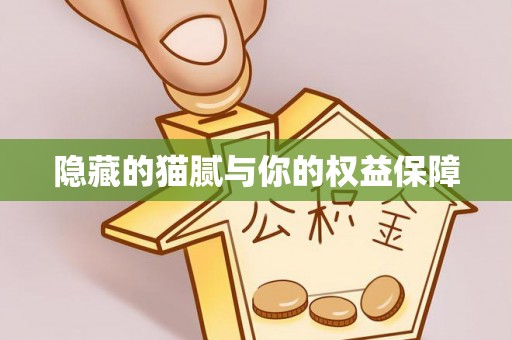 二林隐藏的猫腻与你的权益保障