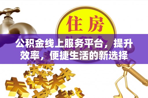 二林公积金线上服务平台，提升效率，便捷生活的新选择