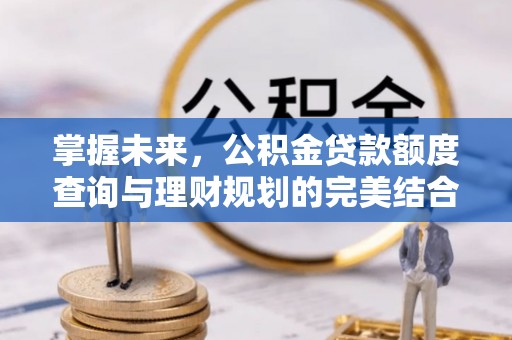 二林掌握未来，公积金贷款额度查询与理财规划的完美结合