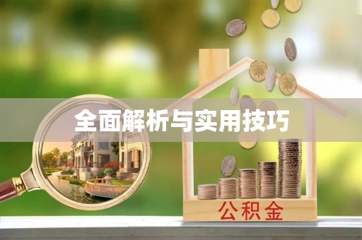 二林全面解析与实用技巧