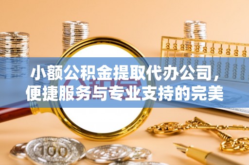 二林小额公积金提取代办公司，便捷服务与专业支持的完美结合