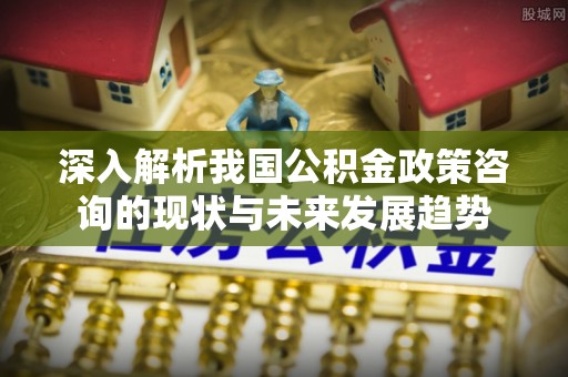 二林深入解析我国公积金政策咨询的现状与未来发展趋势